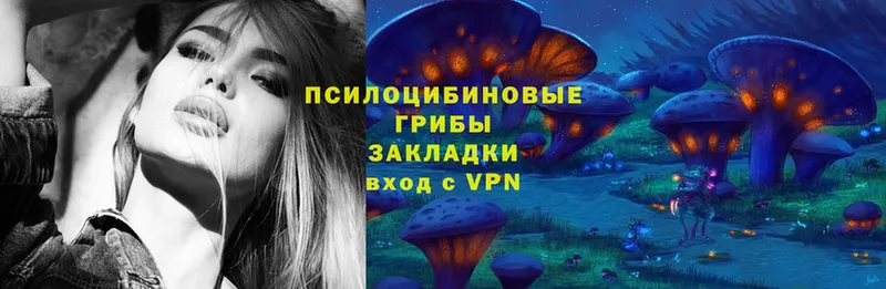 Псилоцибиновые грибы MAGIC MUSHROOMS  это наркотические препараты  Тверь 